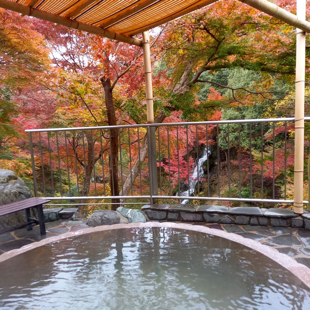 秩父温泉 満願の湯 奥長瀞自然峡